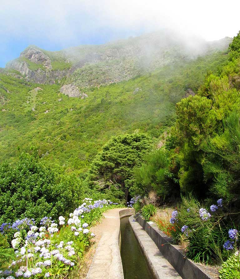 wandelen op Madeira levada bloemen Folhadal