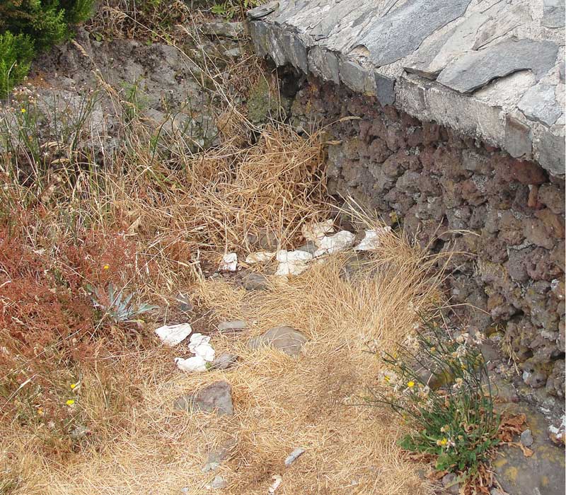 clean Madeira white tissues along levada walk