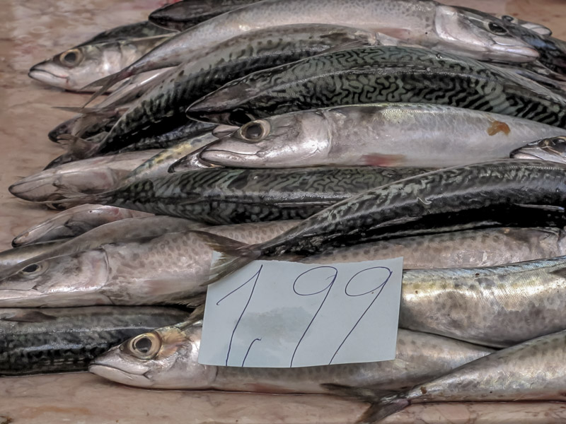 mercado dos lavradores fish sardines