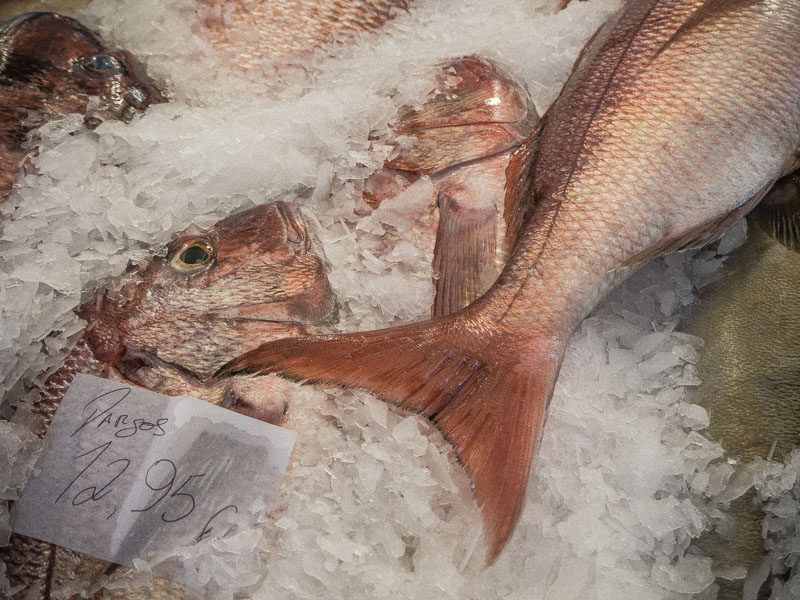 mercado dos lavradores fish market