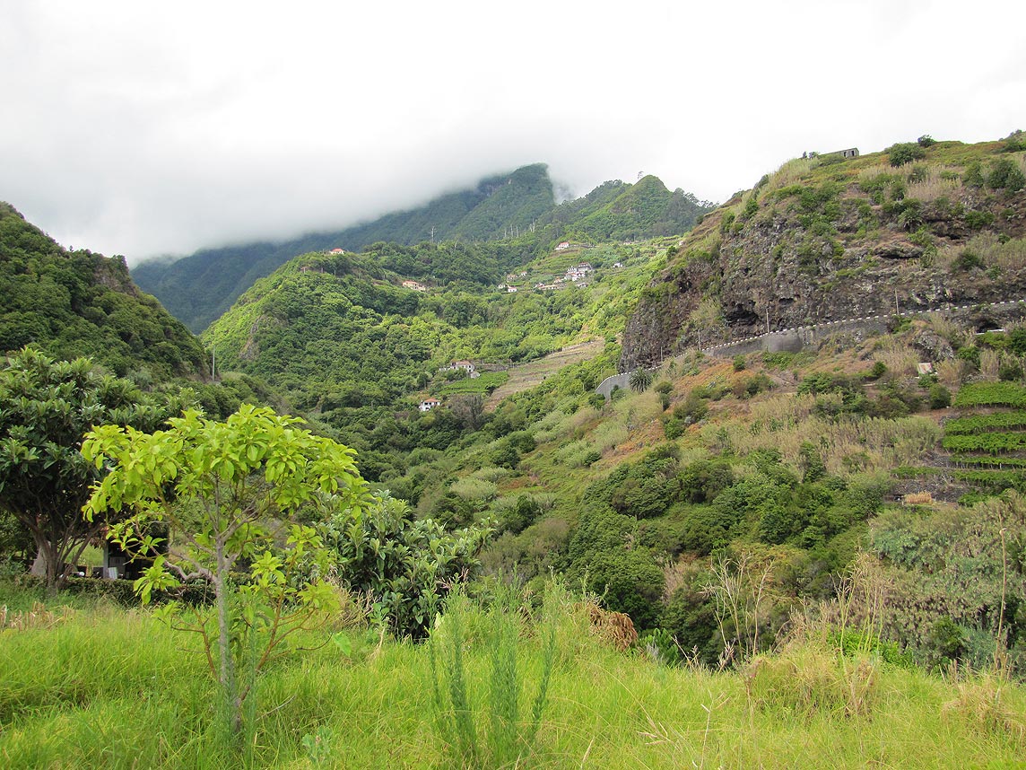 BOAVENTURA COAST