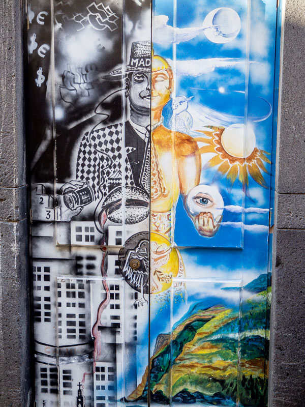 Painted Doors Project Funchal